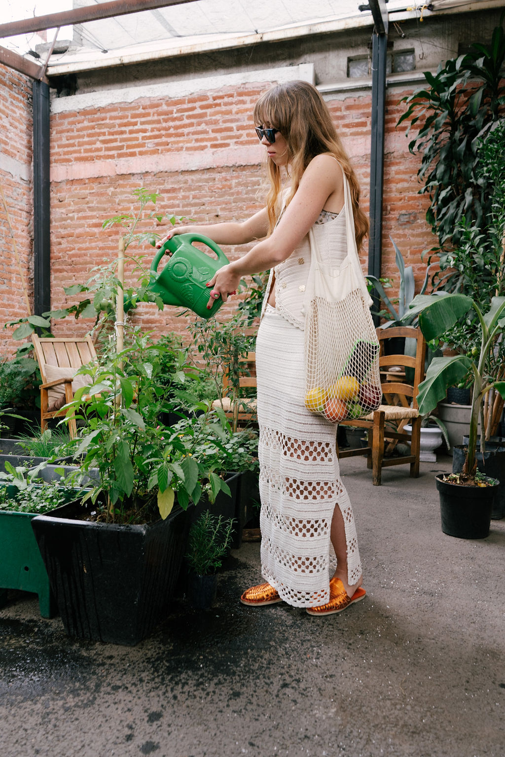 Sky Farms: How Mexico’s Rooftops Are Re-Greening the Concrete