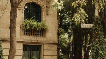 Cool Things to Do in CDMX This May