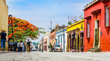 OAXACA FULL GUIDE