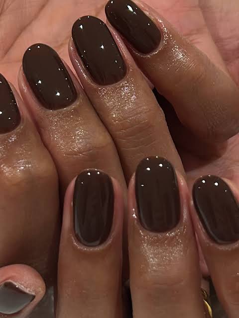 Hailey Bieber’s New Chocolate-Brown Manicure